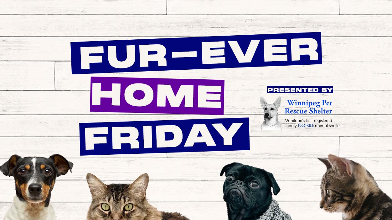Fur-Ever Home Fridays