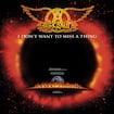 I Don't Want To Miss A Thing by Aerosmith