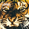 Eye of the Tiger by Survivor