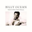 Get Outta My Dreams, Get into My Car by Billy Ocean