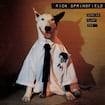 Jessie's Girl by Rick Springfield